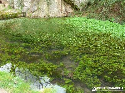 Parque Natural Monasterio de Piedra; ruta sierra de madrid; visitas guiadas madrid;montañas asturia